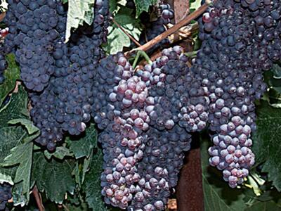 "Αιγιάλεια Τώρα": Μεγάλο μέρος...