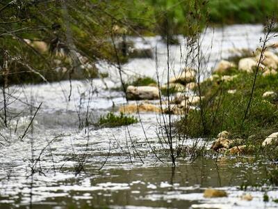 Λειψυδρία: «Στεγνώνει» και η Αχαΐα - «Το...