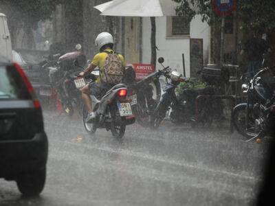 Πάτρα: Ξεριζώθηκαν δέντρα και κολώνες στ...