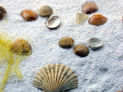 5 Tips για να στείλεις τις θερμίδες διακοπές! 