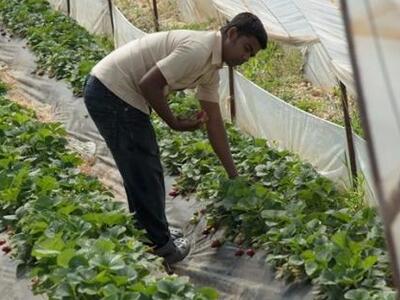 Νέες καταθέσεις μαρτύρων κατηγορίας στη ...