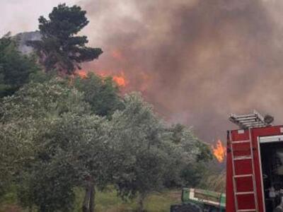 Ηλεία: Διπλή πυρκαγιά σε Λούβρο - Κάμενα σε δάσος
