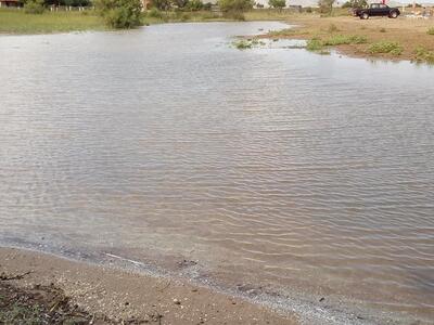 Δυτική Αχαΐα: Ισχυρές βροχοπτώσεις έπληξ...