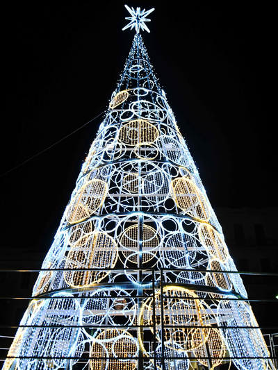 Το δέντρο που στήθηκε πέρσι στην Τριών Συμμάχων