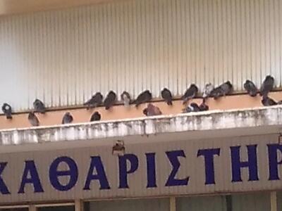 Τελικά ποιος φοβάται τη βροχή στην Πάτρα;