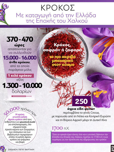 Κρόκος: Με καταγωγή από την Ελλάδα της Ε...