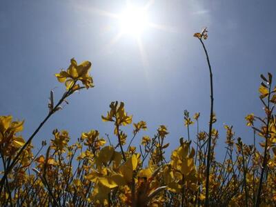Δυτική Ελλάδα: Καλοκαιρία και άνοδος της...
