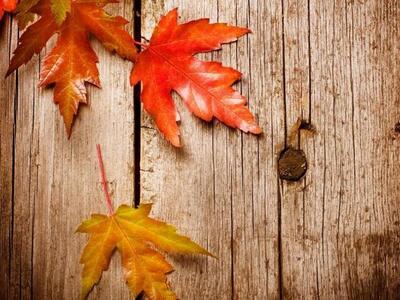 Δέκα λέξεις για το φθινόπωρο