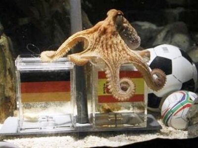 O σούπερ σταρ Πολ, το χταπόδι, πρεσβευτή...