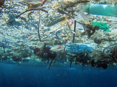 Τα πλαστικά απορρίμματα σκοτώνουν τη θαλάσσια ζωή