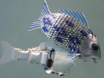 Έλληνες μαθητές δημιουργούν ρομπότ στο ΜΙΤ