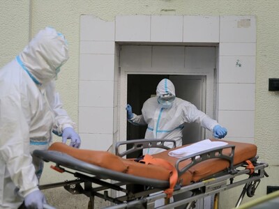 Κρήτη: Νεκρή λόγω κορωνοϊού τρόφιμος του...