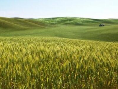 Συμβιβαστική συμφωνία στην ΕΕ για την κα...