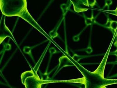 Ο μέσος υγιής άνθρωπος «κουβαλάει» πάνω ...