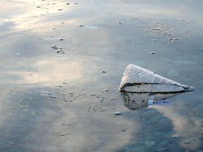 Έβγαλε βρώμα η θάλασσα στο Ρίο της Πάτρα...