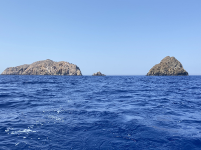 Δύο θαλάσσια πάρκα σε Ιόνιο και νότιο Αι...