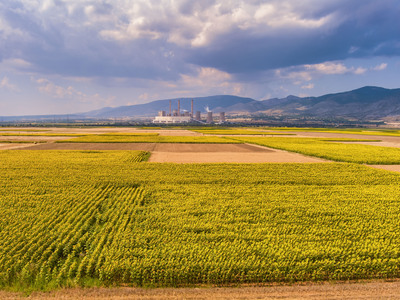 ΑχαΪα: 569 νέοι, θέλουν να γίνουν αγρότες