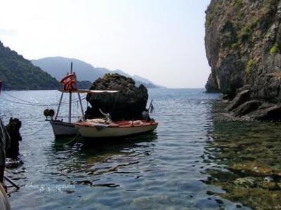 Με 166 "ναι" βγαίνουν στο σφυρ...