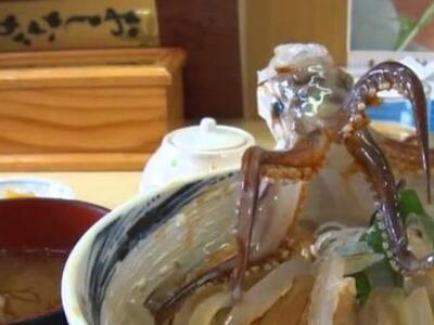 Το "καλαμάρι που χορεύει": Αυτ...