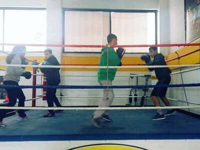 Πυγμαχία: Δυναμική παρουσία για την Άμυνα Πατρών 