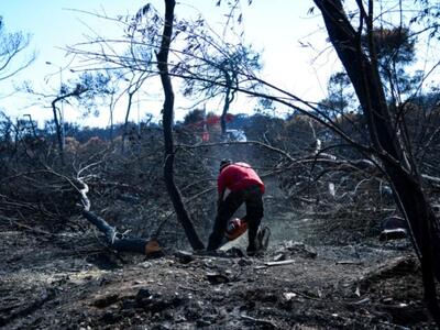 Γιώργος Τσίπρας : «Οφείλουμε μια συγνώμη...»