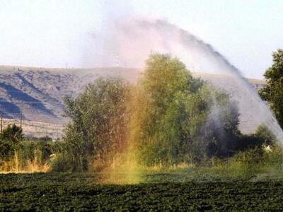 ΕΛΓΑ: Αποζημιώσεις στους πληγέντες αγρότ...