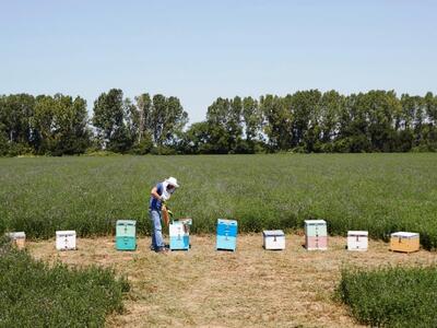 Δυτική Ελλάδα: «Πράσινο φως» πήρε η πληρ...
