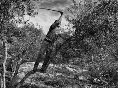 Αχαΐα: Έρχεται δεύτερη καταστροφική χρον...