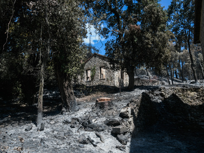 Φωτιές-Αττική: Κάηκαν 7 κτίρια στο Τατόι...