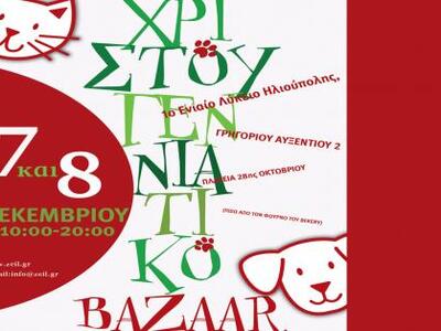 Χριστουγεννιάτικο Παζάρι από την Ζωοφιλι...