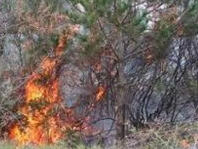 Πάτρα: Φωτιά σε έκταση με ξερά χόρτα στο...