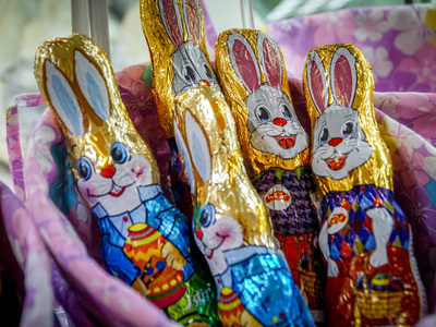 Τα ζώδια που είναι πολύ πασχαλινοί τύποι