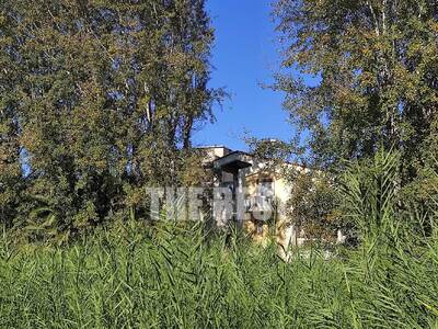 Πάτρα: Η "ζούγκλα" στα Πελεκαν...