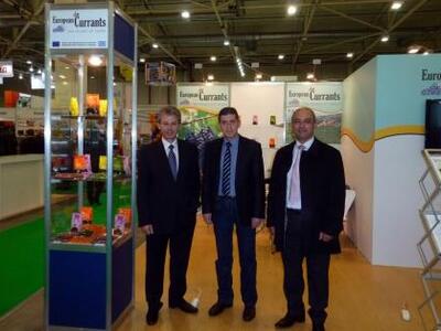 Αχαία: Διεθνές ενδιαφέρον για την σταφίδ...