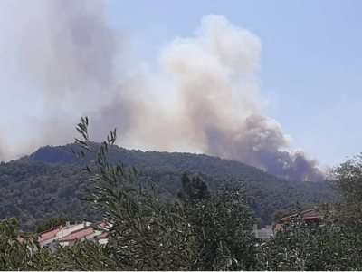 Φωτιά στην Κορινθία: 6 χιλιόμετρα το πύρινο μέτωπο