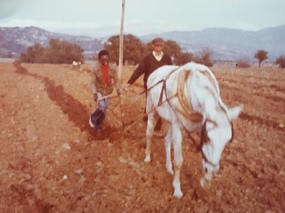 Σε χωράφι στη βιομηχανική περιοχή Πατρών...