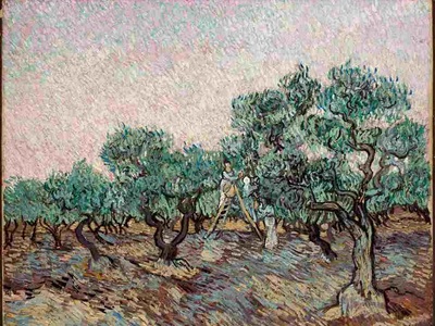 Vincent Van Gogh «Η συγκομιδή της ελιάς»