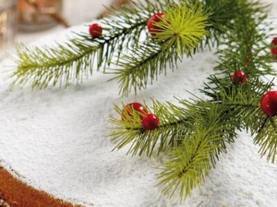 Οι Πολύτεκνοι Πατρών και περιχώρων κόβου...