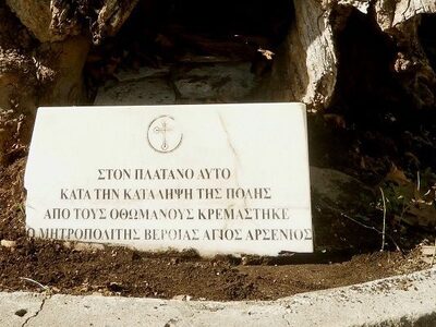 37 δέντρα μάρτυρες της ελληνικής επανάστ...