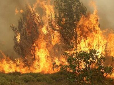Κάηκαν 128 στρέμματα στο  Καστρίτσι και ...