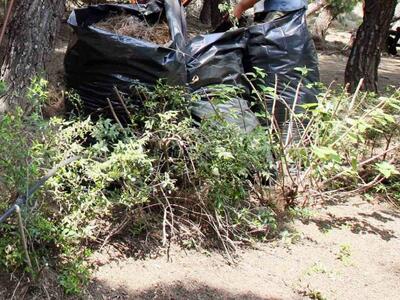 Είχαν κρύψει ένα κιλό ηρωίνης μέσα στα χόρτα