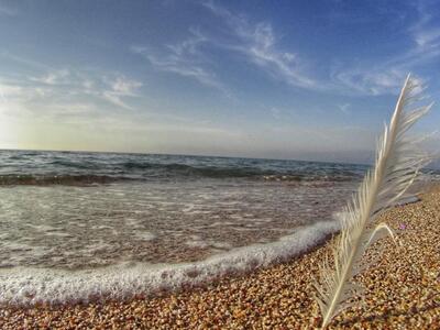 Τα Μερομήνια 2017-2018 - Οι ερασιτεχνικέ...