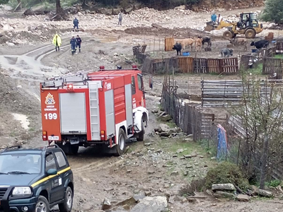 Αγρίνιο: Εγκλωβίστηκε κτηνοτρόφος στο χε...