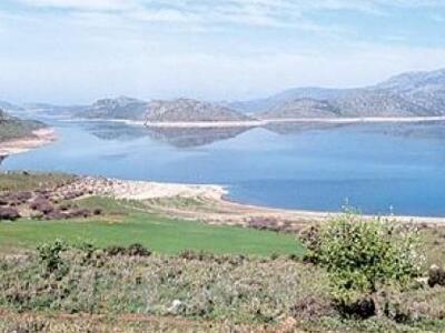 Βοιωτία: Γύρισε το κεφάλι του δεξιά και ...