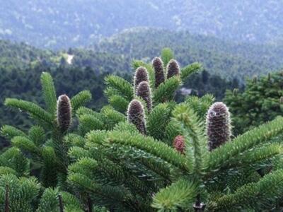 ΔΕΙΤΕ θα γίνεται με τα εγκαταλελειμμένα ...