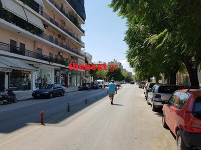 Φυλλωσιές δέντρων και κλαδιά έχουν σκεπά...