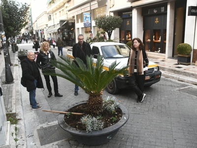 Πάτρα: Φύτευση λουλουδιών στις ζαρντινιέ...