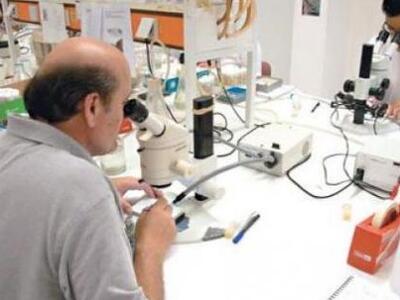 Ερευνα για το Κρητικό DNA