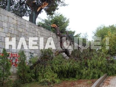 Πύργος: "Μαδάει" το Επαρχείο -...