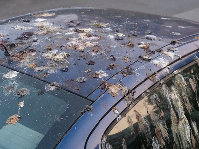 Κουτσουλιές στο αυτοκίνητο: Ποια οχήματα...